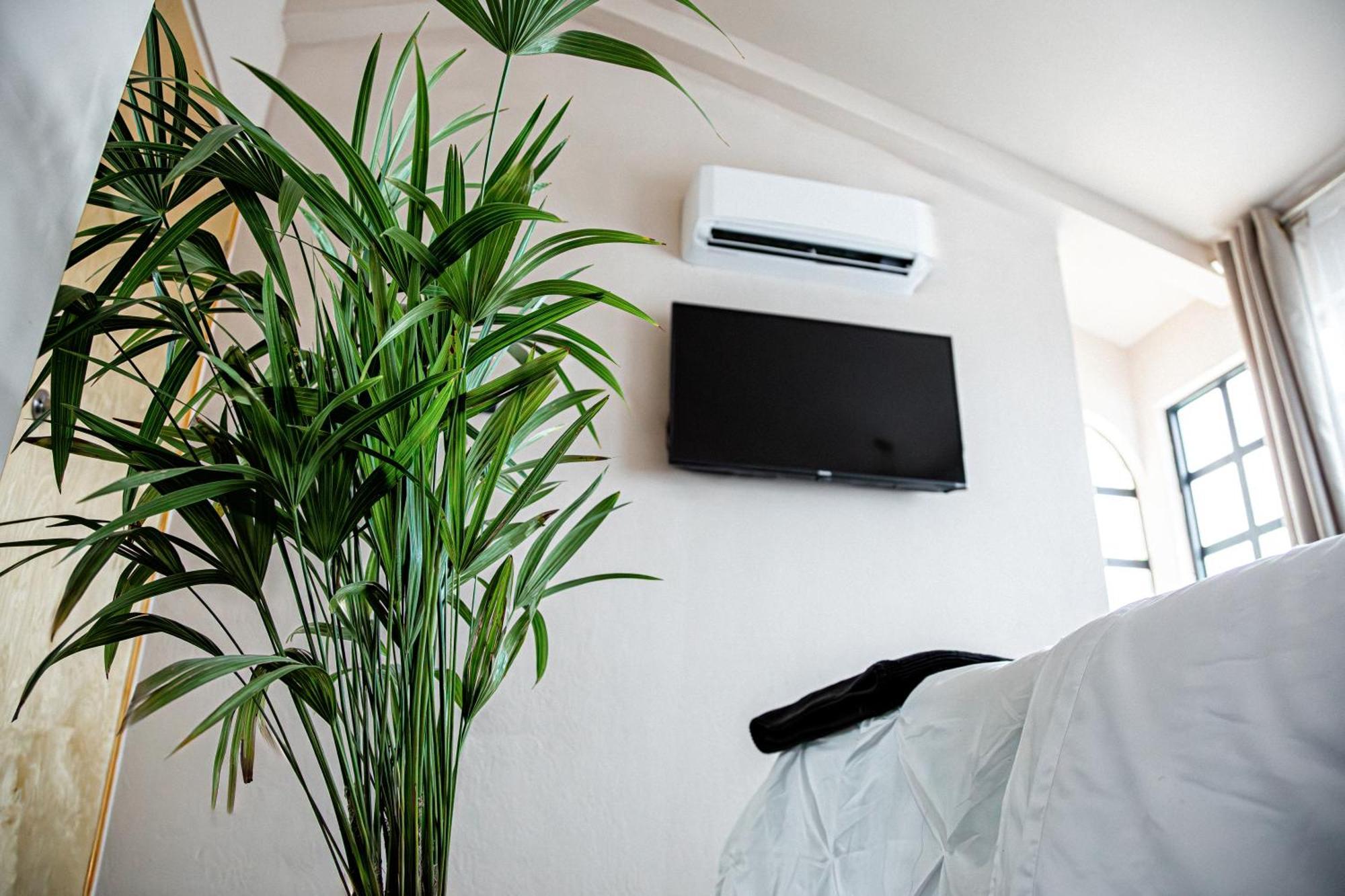 Casa Palma Apartment La Paz Ngoại thất bức ảnh
